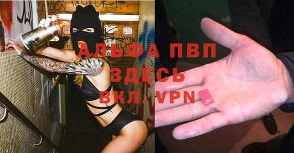 амф Протвино