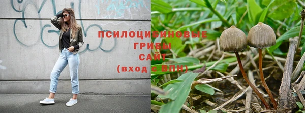 гашиш Вяземский